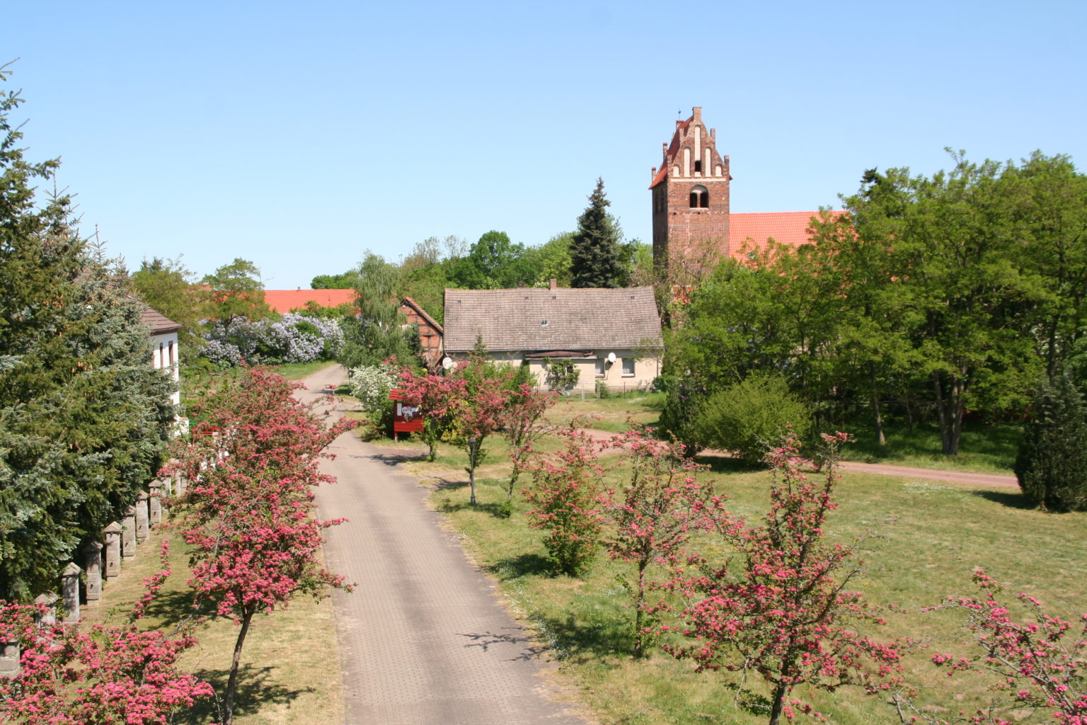 HohenbergKrusemark Verbandsgemeinde ArneburgGoldbeck