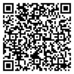 WEB-Beitrag